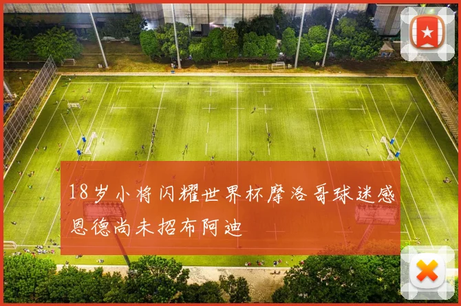 18岁小将闪耀世界杯摩洛哥球迷感恩德尚未招布阿迪